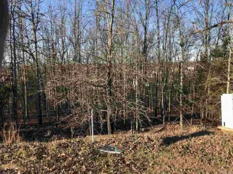 Residential Lot in Wooded Area