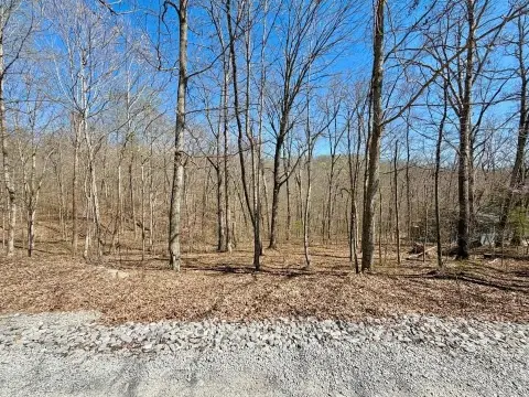 Lake Access Land Opportunity