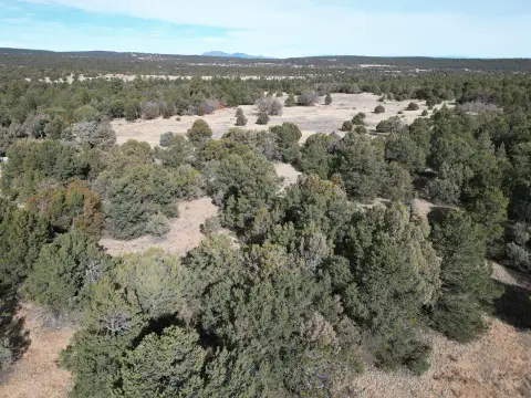 Land in Tijeras, New Mexico