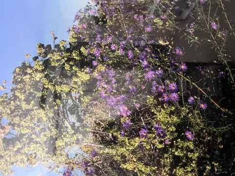 Land For Sale, Rio Rancho