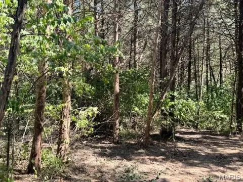 Residential Lot in Wright City