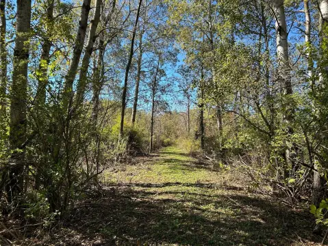 Remus, MI Hunting Land