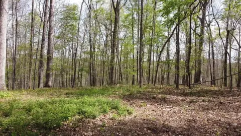 Secluded Land Near Center Hill