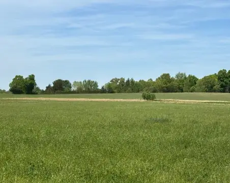 Flat, Open Land in Monroe