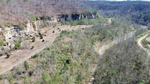 Expansive Hunting Land in Louisa