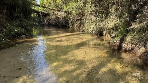 Robertsdale Land with Creek Access