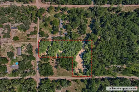 2.5 Acres in Bronson, FL
