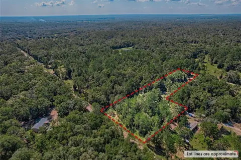 3.75 Acre Homesite in Bronson