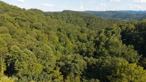 Unrestricted Mountain Hunting Land