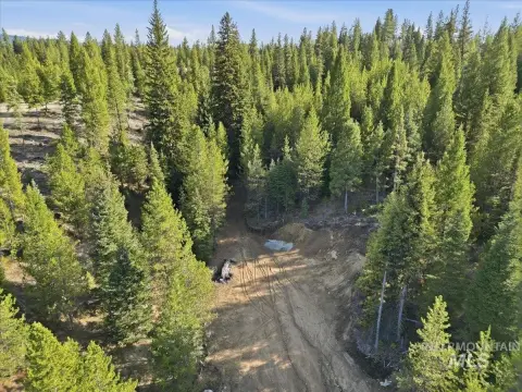 Timbered Recreation and Hunting Land