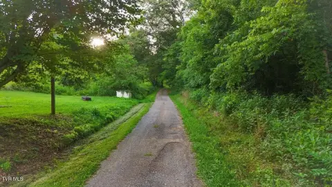 Wooded Lot in Rogersville, TN