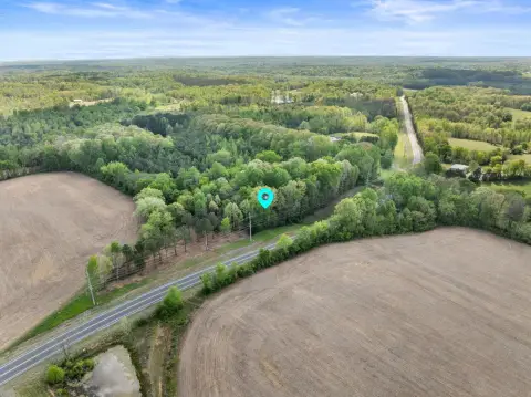 Residential Land in Lexington, AL