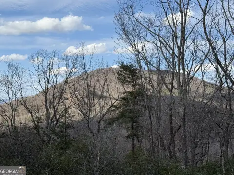Residential Lot with Mountain View