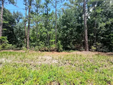 Wooded Acreage Land Parcel