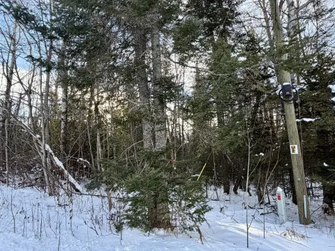 Buildable Lot Near Lake Huron