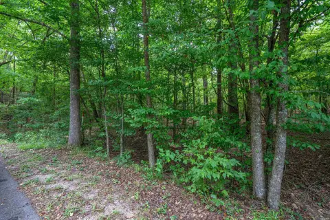 Residential Lot Near Ouachita River