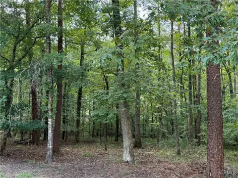 Residential Land in Confederate Hills