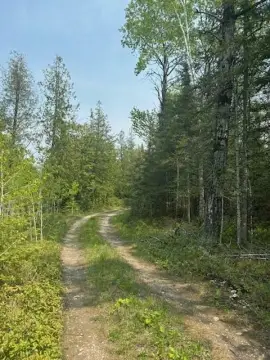 Hessel Hunting Land with Frontage