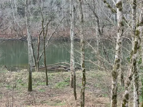 Burkesville Land Near Cumberland River