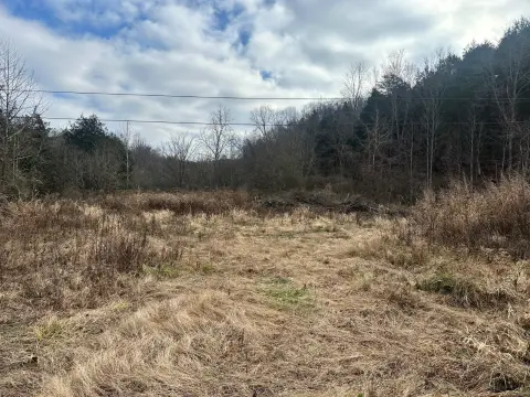 Wooded Hunting Acreage with Building Sites