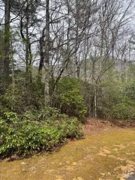 Sapphire, NC Land For Sale