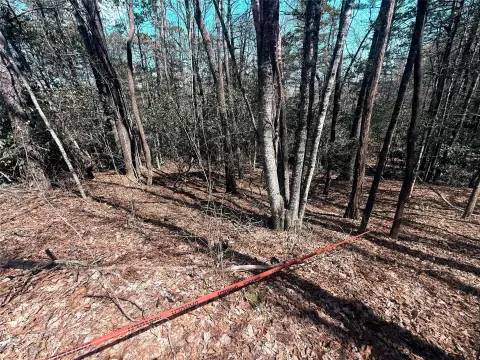 Sapphire, NC Land Parcel