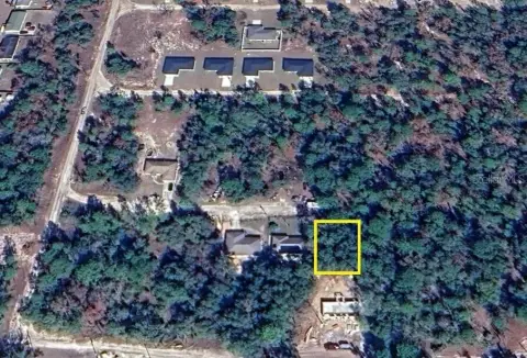 Belleview Land Near Lake Weir