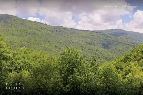 Land in Holly Forest XIV