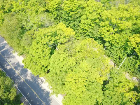 Wooded Hunting Land