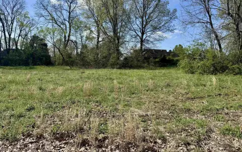 Residential Building Lot in Subdivision