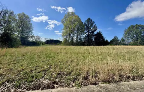 Residential Building Lot in Subdivision