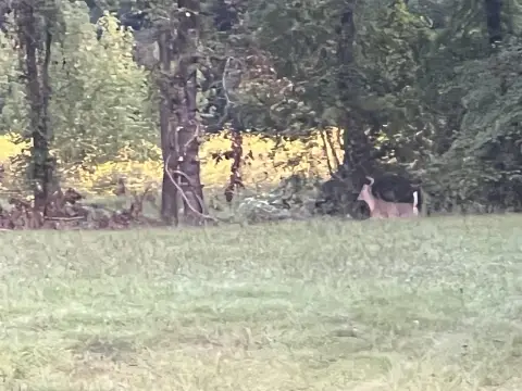 36.83 Acres in Cabot District