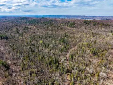 Wooded Acreage with Legal Access