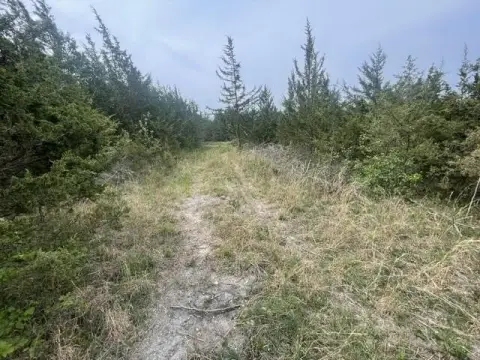 Waterfront Land with Channel Access