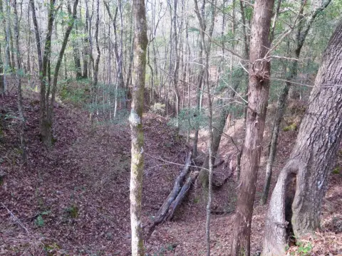 Recreational Timberland Acreage
