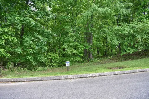 Scenic Lakeview Lot in Rivermyst