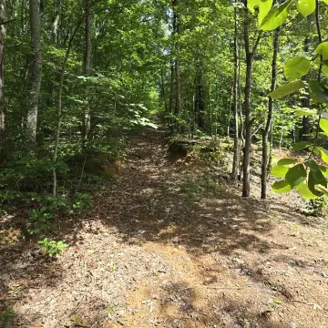 Unrestricted Land with Shed