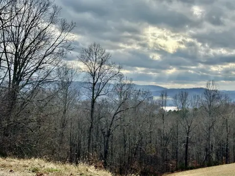 Large Acreage in Rock Harbor