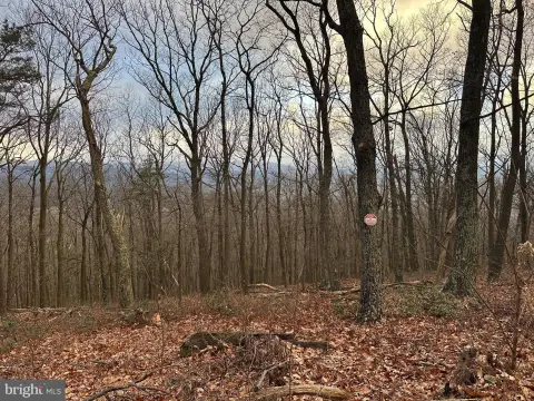 Mountain Top Retreat Land