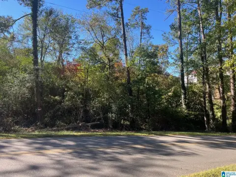 Residential Lot Near Bear Creek