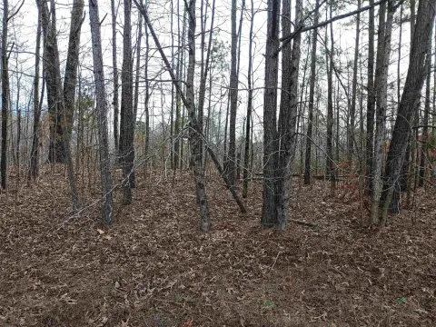 Residential Land in Medon, TN