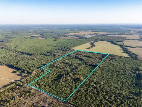 Hunting Land with Seasonal Creek
