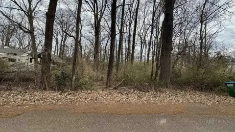 Land For Sale, Memphis