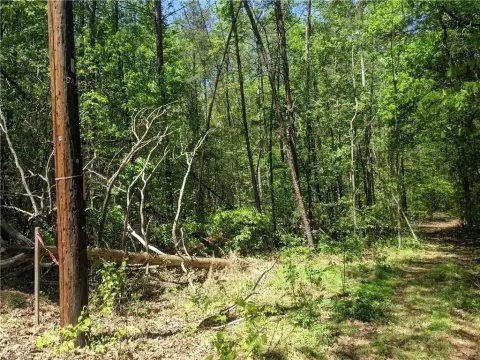 Wooded Lot in Davidson County