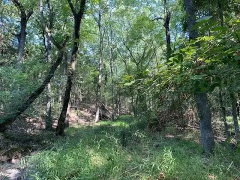 Heavily Wooded Acreage in Athens