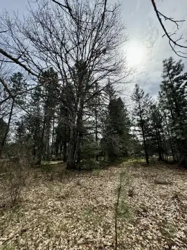 Affordable Lot in Cave Junction