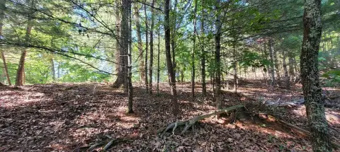 Lake Community Lot in Tennessee