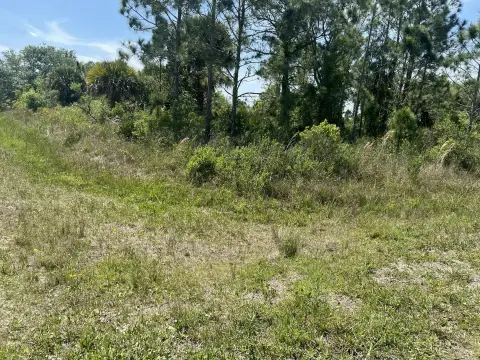 Okeechobee Land for New Home