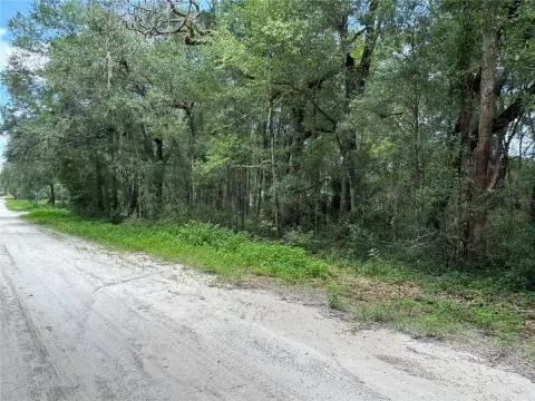 Residential Land Parcel with Live Oaks