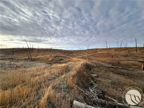 Hunting Land with On-Site Electricity